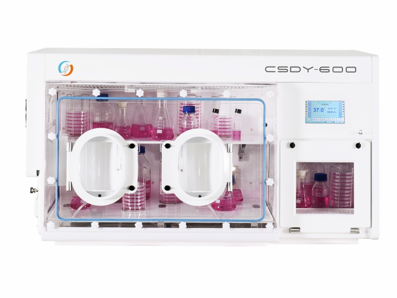 CSDY-600.jpg