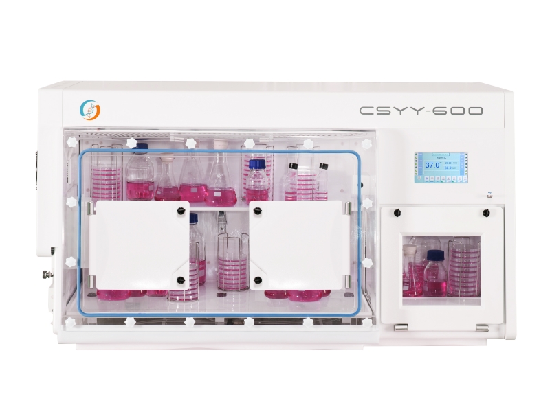 CSYY-600.jpg