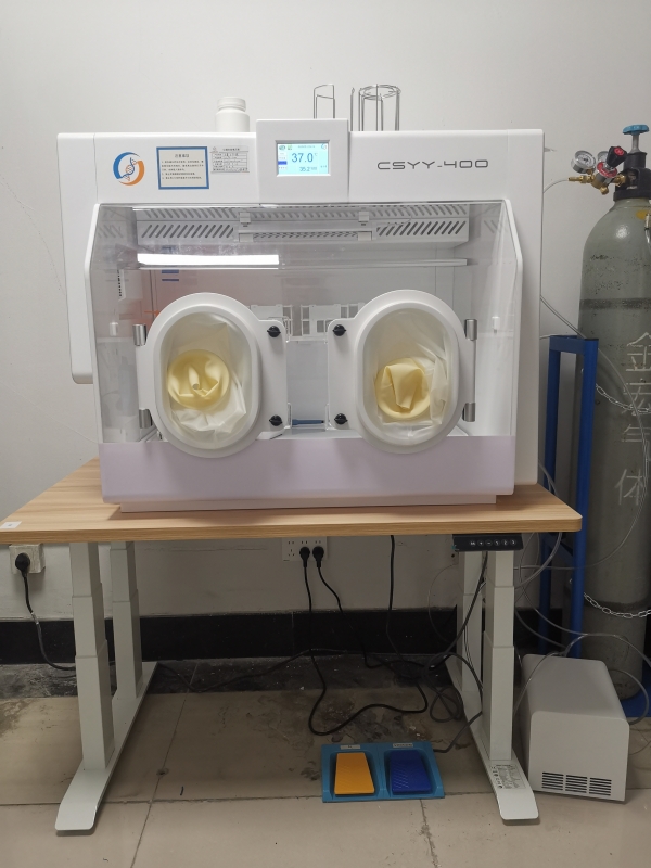苏州大学：CSYY-400厌氧工作站